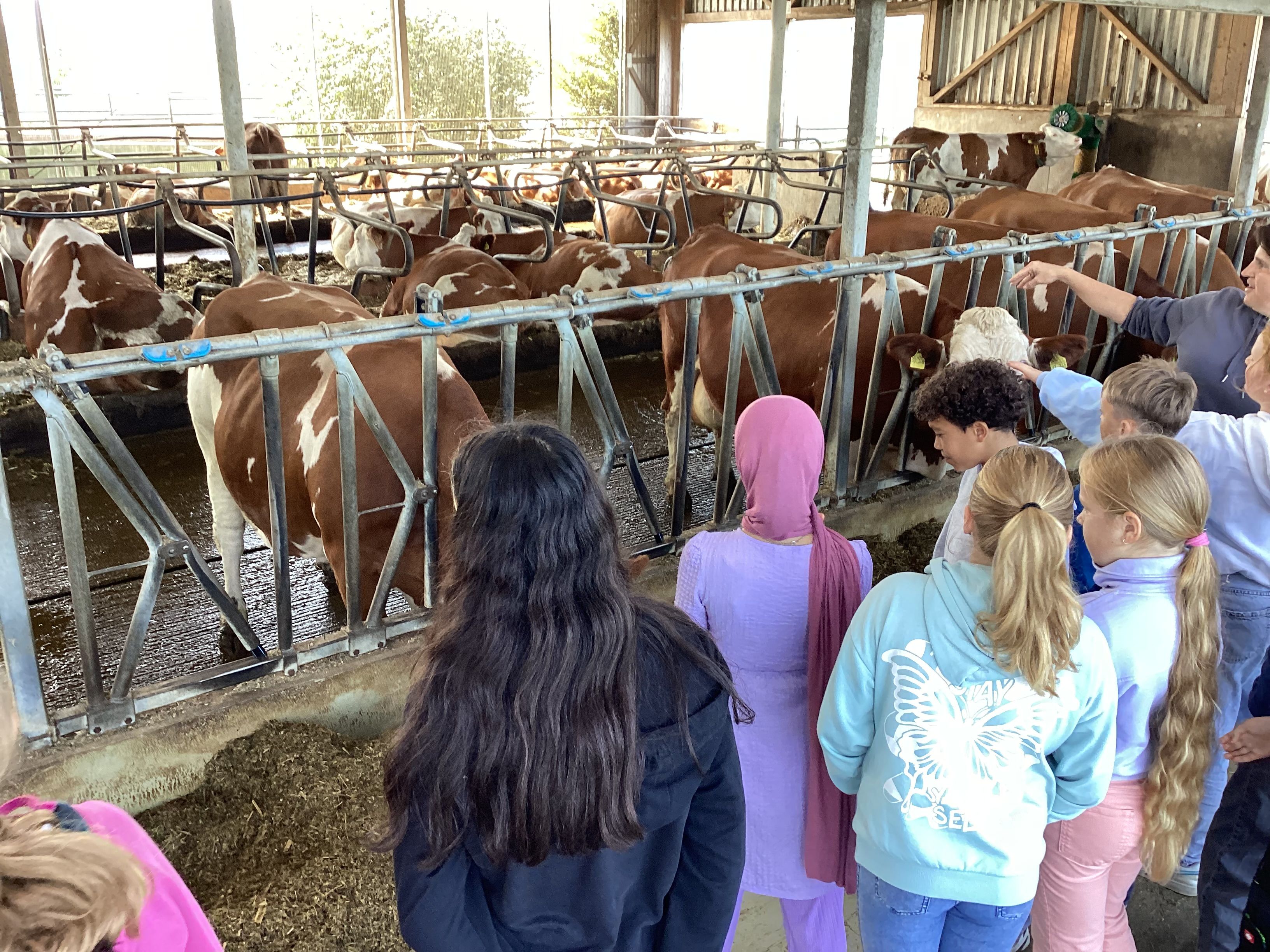 Kinder bekommen im Stall etwas erklärt