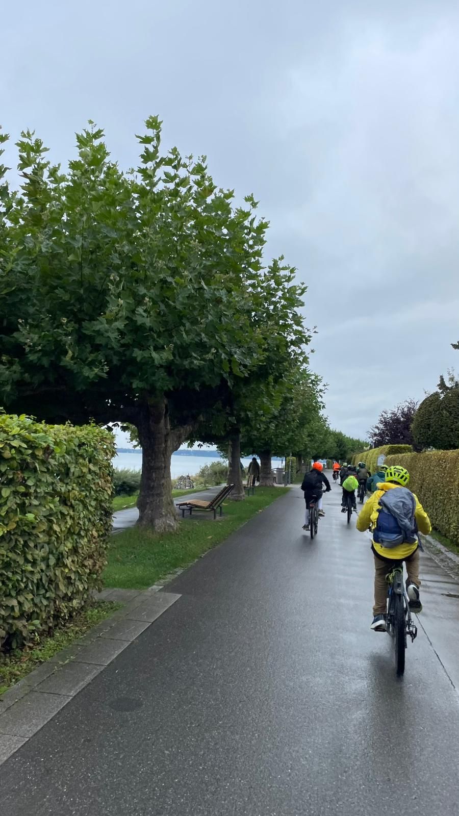 Schüler fahren in Reihe Fahrrad, links der Bodensee
